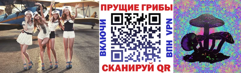 darknet состав  Макушино  Галлюциногенные грибы мухоморы 