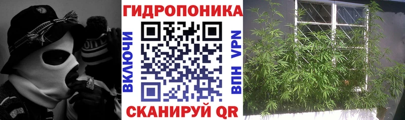 хочу наркоту Макушино OMG ONION Шишки марихуана сатива